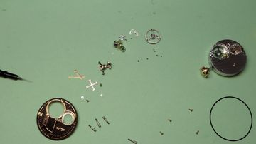 Disassembled watch components arranged on a workshop mat