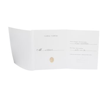 Cartier Ballon Bleu W3BB0005 3752 Rose Gold Steel Silver Dial 28mm Quartz