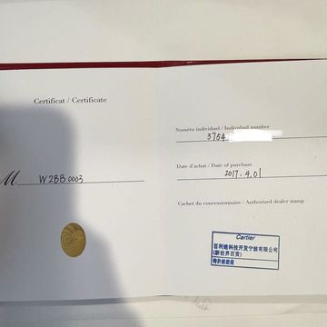 Cartier Ballon Bleu 36mm W2BB0003 3754 Steel & Rose Gold Silver dial 36mm Auto