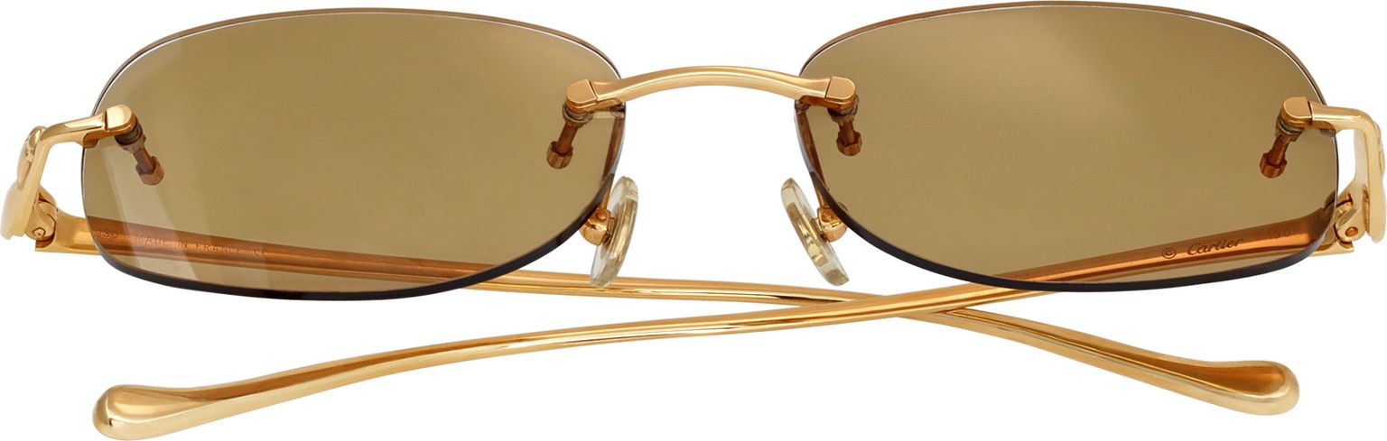 cartier_panthere_de_cartier_gl