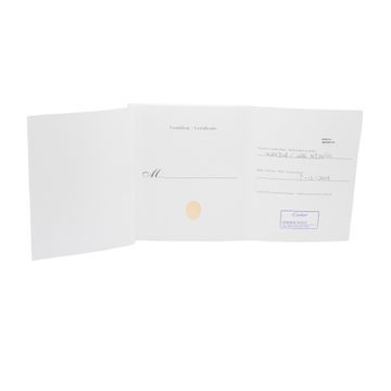 Cartier Santos 100 W20073X8 2656 Steel Silver dial 38x51mm Auto