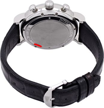IWC Portofino IW391029 Stainless Steel 42mm auto watch