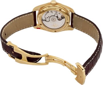 Omega Seamaster Aqua Terra 2604.30.37 18k 36mm auto watch