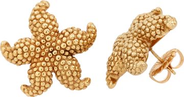 Starfish Studs/Earrings in 14k yellow gold