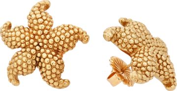 Starfish Studs/Earrings in 14k yellow gold