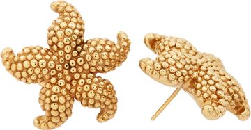 Starfish Studs/Earrings in 14k yellow gold