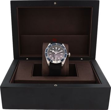 Tudor black bay 79220B Stainless Steel 41mm auto watch