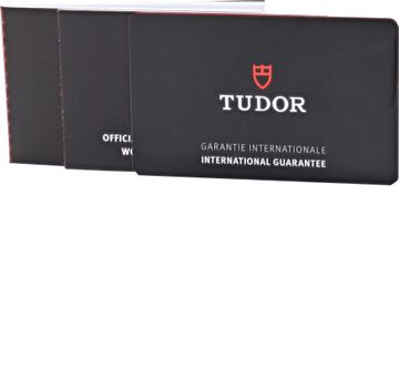 Tudor Ranger in stainless steel